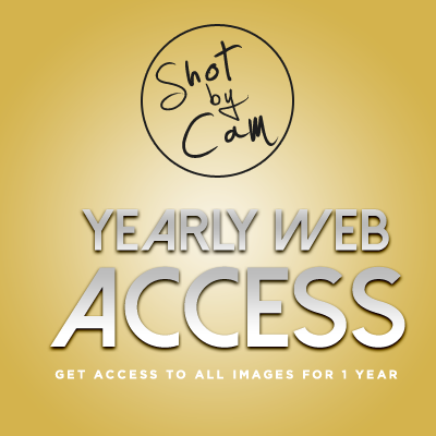 Yearly Website Access